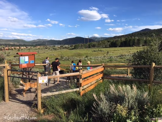 Quinn's Junction Dog Park photo 1